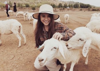 Kiều Bảo Hân và đàn cừu